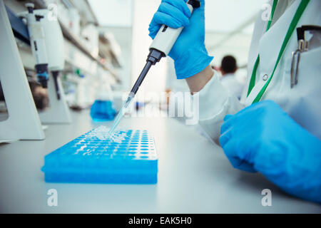 Scienziato campioni di pipettaggio nel vassoio in laboratorio Foto Stock