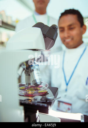 Close up del campione al microscopio in laboratorio Foto Stock