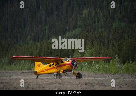 Un DeHavilland Beaver bush aereo atterra su una pista di atterraggio per aerei backcountry nel quartiere Yakutat a Wrangell St. Elias National Park in Alaska. Foto Stock