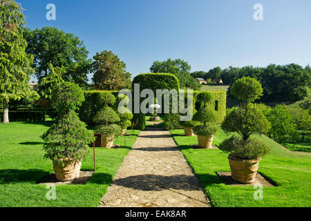 Giardini di Eyrignac, giardini del maniero Manoir d'Eyrignac, Salignac-Eyvigues, Périgord e Dordogna, Aquitaine, Francia Foto Stock