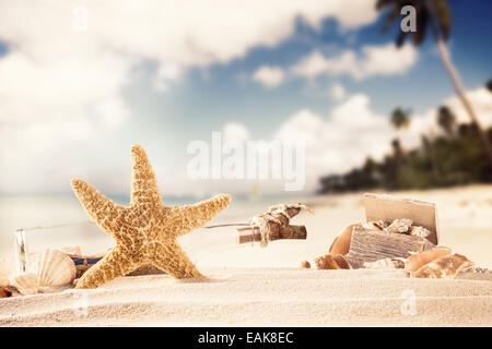 Concetto di estate con spiaggia sabbiosa, conchiglie e stelle marine. Foto Stock