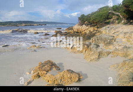 Costa rocciosa nella baia di Hanson, Kangaroo Island, South Australia, Australia Foto Stock