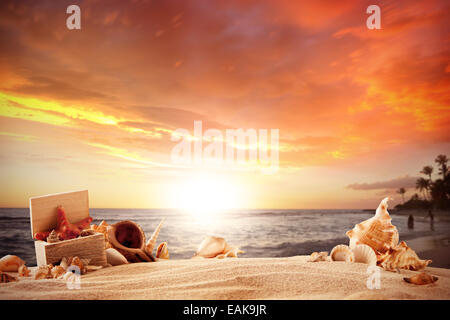 Concetto di estate con spiaggia sabbiosa, conchiglie e stelle marine. Foto Stock