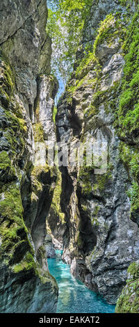 Tolmin Gorge, percorso di smeraldo, il Parco Nazionale del Triglav, Tolmin, Goriziana, Slovenia Foto Stock