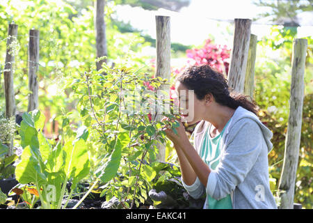 Giovane donna profumati fiori nel giardino soleggiato Foto Stock
