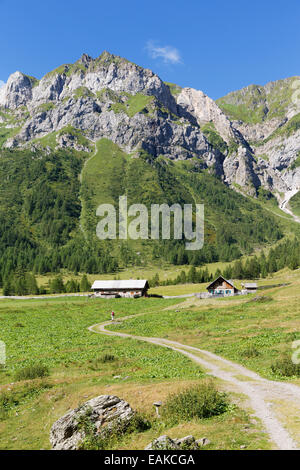 Ingridalm pascoli di montagna nella valle Frohnbach, le Alpi Carniche, Lesachtal, Bezirk Hermagor, Kärnten, Austria Foto Stock