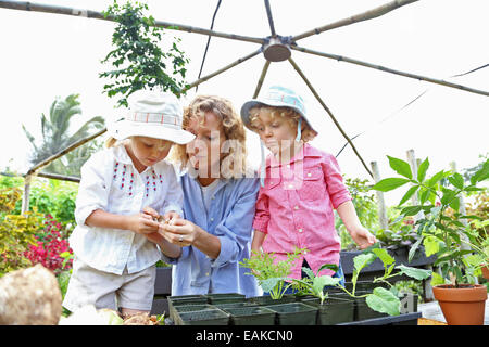 Donna con due bambini di piantare le piantine in serra Foto Stock