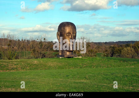 Grande testa in bronzo scultura in arte park, ernee, Normandia, Francia Foto Stock