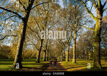 Londra, Regno Unito. 17 Novembre, 2014. La gente a piedi attraverso i colori dell'autunno di Green Park. Green Park, London, Regno Unito 17 Nov 2014 Credit: Guy Bell/Alamy Live News Foto Stock