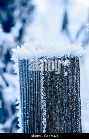 Immagine ravvicinata di un palo di legno ricoperta di brina i cristalli di ghiaccio in inverno Foto Stock