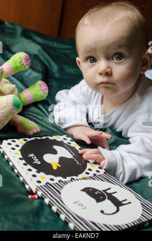 Una bambina (ca. 7 mesi di età) legge un bambini prenota. Foto Stock