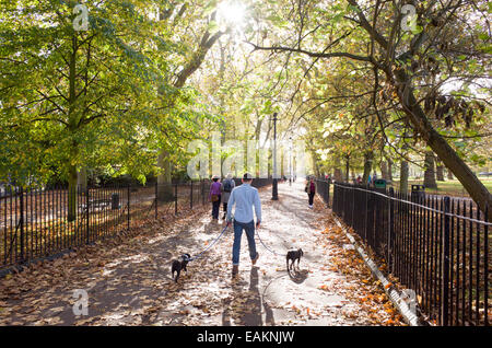 Cani a piedi attraverso i campi di Highbury, Islington, London, Regno Unito Foto Stock