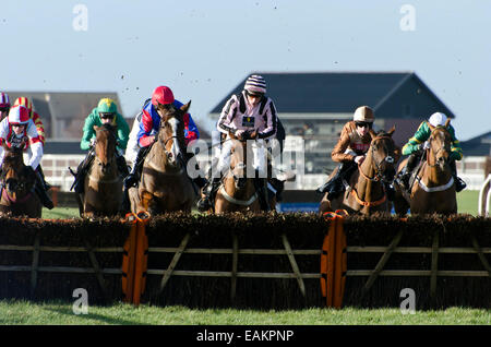 Corsa di cavalli a Musselburgh Racecourse nei pressi di Edimburgo, Scozia. Foto Stock