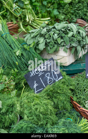 Un display di varie erbe su un mercato in stallo Foto Stock