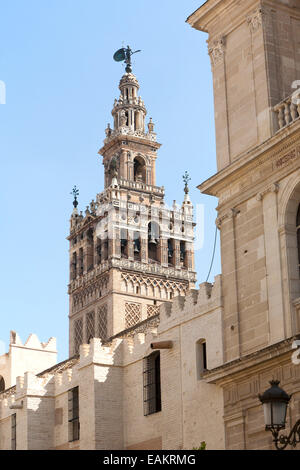 La Giralda torre della cattedrale costruita originariamente come un minareto moresco nel dodicesimo secolo, Siviglia, Spagna Foto Stock