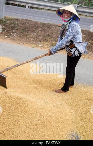 Lavoratore di sesso femminile che nel tradizionale cappello conico rastrellatura essiccazione riso su una strada chiusa in Tra Vinh, Delta del Mekong, Vietnam. Foto Stock