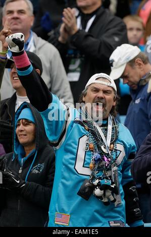 Charlotte, NC, Stati Uniti d'America. Xvi Nov, 2014. Carolina Panthers appassionati di celebrare un touchdown in un gioco di NFL contro i falchi di Atlanta presso la Bank of America Stadium il 16 novembre 2014 a Charlotte, NC. I falchi sconfitto le pantere 19-17. Margaret Bowles/CSM/Alamy Live News Foto Stock