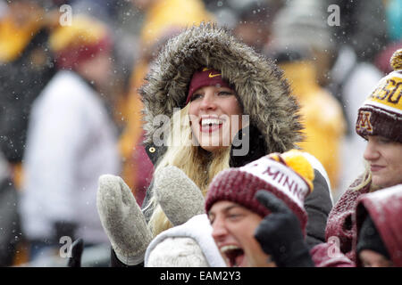 Minneapolis, Minn. Xv Nov, 2014. Minnesota i Gopher fan sono stati raggruppati in un pomeriggio freddo durante il NCAA Football gioco tra le Università del Minnesota i Gopher e la Ohio State Buckeyes a TCF Bank Stadium di Minneapolis, Minn. Ohio State sconfitto Minnesota 31 - 24. © csm/Alamy Live News Foto Stock