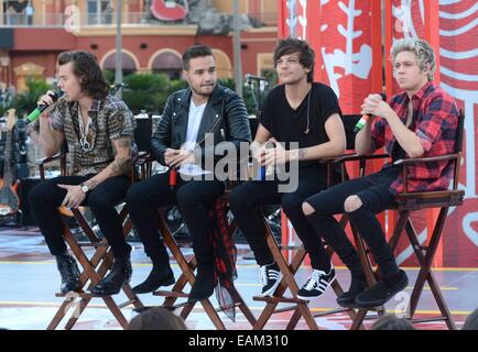 Orlando, FL, Stati Uniti d'America. 17 Nov, 2014. sul palco per la NBC TODAY SHOW Concerto con una direzione, Universal Orlando Resort Orlando, FL 17 novembre 2014. Credito: Derek Storm/Everett raccolta/Alamy Live News Foto Stock