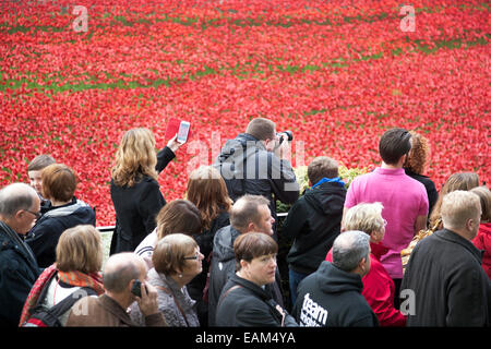 9 novembre 2014 Sangue spazzata di terre e mari di rosso l'installazione presso la Torre di Londra Foto Stock