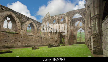 Spettacolari resti del XII secolo Tintern Abbey con immense pareti e archi che si innalzano nel cielo blu Foto Stock