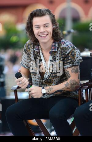 Orlando, FL, Stati Uniti d'America. 17 Nov, 2014. Harry stili sul palco per la NBC TODAY SHOW Concerto con una direzione - Parte 2, Universal Orlando Resort Orlando, FL 17 novembre 2014. Credito: Derek Storm/Everett raccolta/Alamy Live News Foto Stock