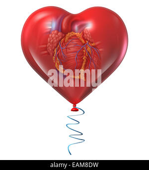 La salute del cuore del concetto e simbolo di medici con un essere umano organo anatomico all'interno di un palloncino rosso come una icona per le malattie circolatorie rischi e Foto Stock