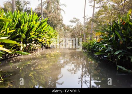 Un canale nel nebbioso giungla tailandese o di campagna nella provincia di Ratchaburi Foto Stock