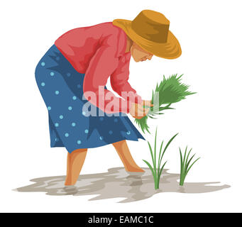 Illustrazione Vettoriale di donna spiumatura verdure in fattoria. Foto Stock