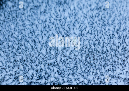 Ripresa macro di una recinzione di legno ricoperta di cristalli di ghiaccio a causa della brina in inverno Foto Stock