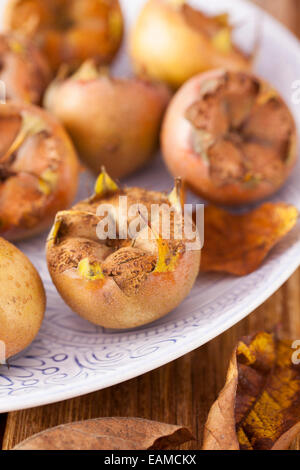 Medlars sulla piastra Patterened Foto Stock