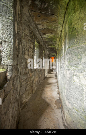 Lungo stretto corridoio interno spesse pareti in pietra di enormi e spettacolari del XIII secolo Caernarfon Castle in Galles Foto Stock