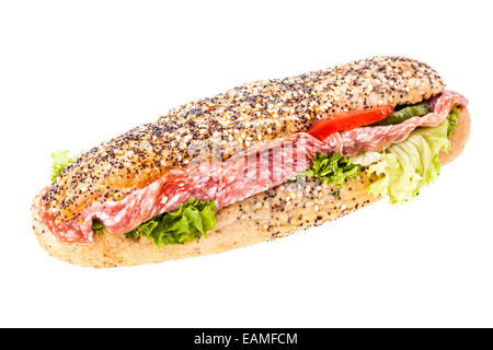 Un delizioso salame sandwich sub isolate su uno sfondo bianco Foto Stock