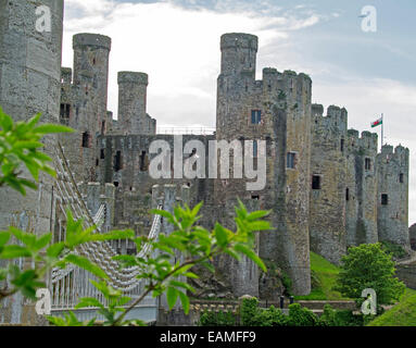 Storica del XIII secolo Conwy Castle in Galles con ponte in primo piano & enormi torri rotonde infilzare in cielo Foto Stock