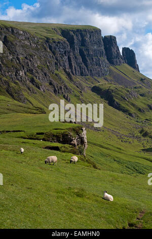 Quiraing paesaggio montano del Trotternish Ridge sull'Isola di Skye. Ebridi Interne. La Scozia, Regno Unito Foto Stock
