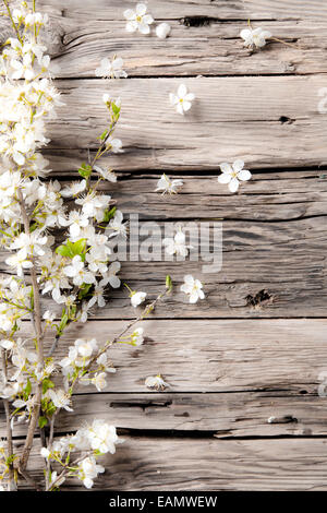 Molla di fiori bianchi su tavole di legno superficie. Spazio libero per il testo Foto Stock