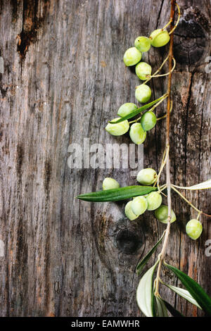 Verde e nero olive branch sopra il vecchio tavolo in legno. Vista dall'alto. Foto Stock