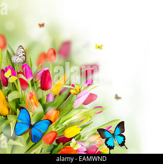 Bellissimi fiori di primavera con le farfalle Foto Stock