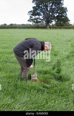 Un agricoltore di scavare un buco per controllare la salute e la struttura del suo terreno in un campo di erba in estate, REGNO UNITO Foto Stock