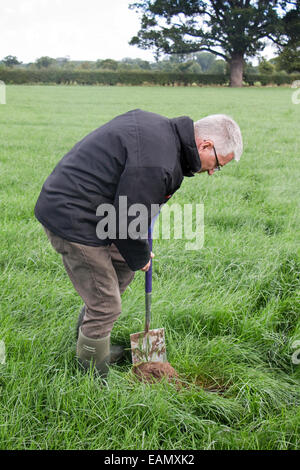 Un agricoltore di scavare un buco per controllare la salute e la struttura del suo terreno in un campo di erba in estate, REGNO UNITO Foto Stock