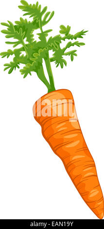 Cartoon illustrazione della radice di carota vegetali oggetto alimentare Foto Stock