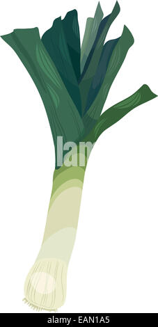 Cartoon illustrazione di porri alimento vegetale oggetto Foto Stock