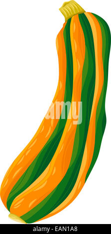 Cartoon illustrazione di zucchine alimenti vegetali oggetto Foto Stock