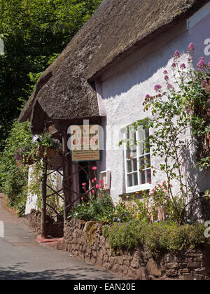 Tradizionale tè inglese camera nell'antico villaggio di paglia di Cockington, Devon, Inghilterra Foto Stock