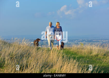 Una coppia matura a piedi i loro cani sulla South Downs, Eastbourne. East Sussex Foto Stock