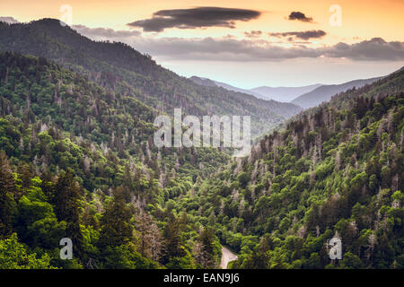 Smoky Mountains, Tennessee, Stati Uniti d'America mountainscape alla ritrovata gap. Foto Stock