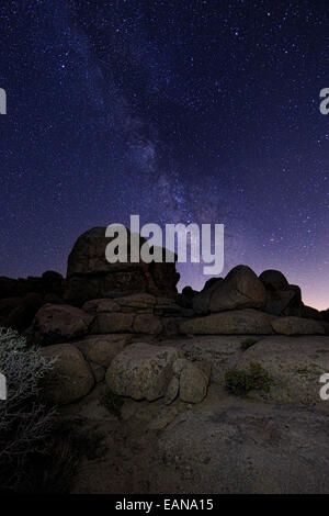 Tracce stellari e la Via Lattea nel Parco nazionale di Joshua Tree Foto Stock