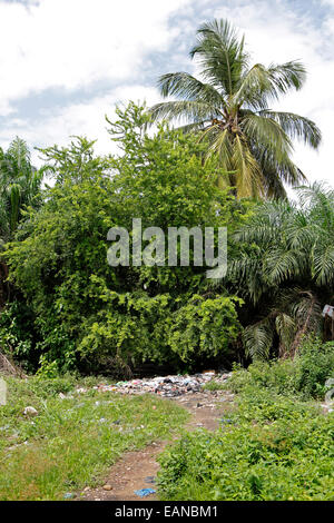 Discariche tra gli alberi e le palme in Africa Foto Stock