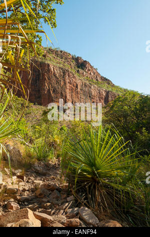 Percorso in Emma Gorge, El Questro, WA, Australia Foto Stock