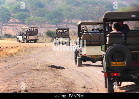 Una linea di trazione a quattro ruote motrici di veicoli di safari su un game drive in Africa. Foto Stock